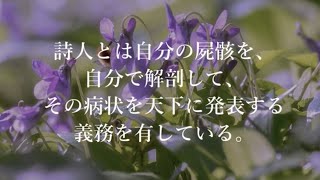 【一節朗読】十七字にしてしまえばよい（夏目漱石「草枕」より）