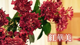 【スプレーばら】紅華美（べにはなび）のリース【wreath making】