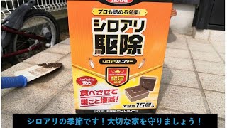 【DIY】　シロアリから手軽に家を守ろう！【置くだけ簡単】