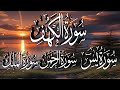 Surah kahf |Surah Yaseen |Surah Rahman |Surah Mulk |Beautiful recitation