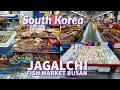 Largest Seafood Market in Korea - Jagalchi Fish Market Jung-gu Busan - 2024