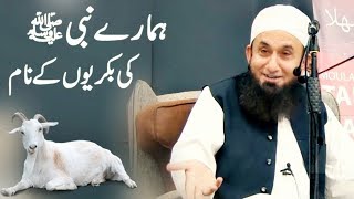 Goat's Name of the Prophet Muhammad saw | Maulana Tariq Jameel Bayan 23 January 2019