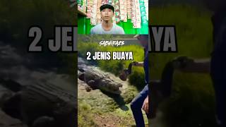 Ngeri woy #trending #funny #shortvideo ##reaction #reactionpics #fyp #reactions #reactionvideos