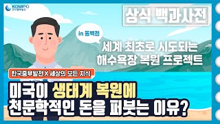 [한국중부발전✖세상의 모든 지식] 미국이 습지대 복원에 천문학적인 돈을 퍼붓는 이유는? (feat. 동백정해수욕장 복원 프로젝트🌊)