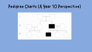 PedigreeChartsYr10
