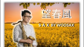 《望春風》Alto Sax cover｜WooSax 薩克斯風演奏教學