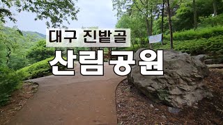 대구 진밭골, 산림공원