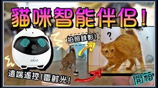 【魚乾】不在家也能玩貓！遠端視訊高科技貓玩具Ebo！