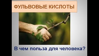 ФУЛЬВОВЫЕ КИСЛОТЫ компании Гринвэй. Польза.