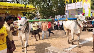 2025-ఎమ్మిగనూరు బండలాగు పోటీలు నాలుగు పళ్ళ విభాగం 4 వ జత