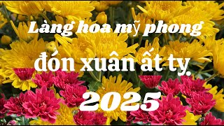 Những Vườn Hoa Đua Nhau Khoe Sắc Đón Xuân Ất Tỵ - Làng Hoa Mỹ Phong Tiền Giang