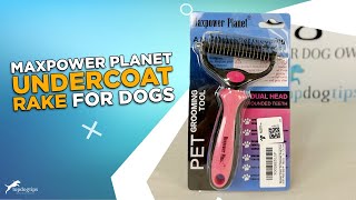 Review: Maxpower Planet Undercoat Rake for Dogs