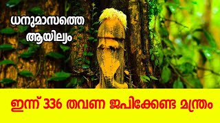 ധനുമാസത്തെ ആയില്യം;  ഇന്ന് 336 തവണ ജപിക്കേണ്ട മന്ത്രം