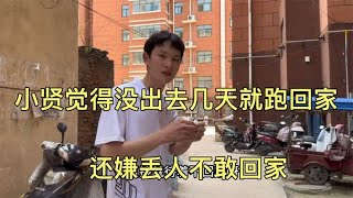 小贤觉得没干两天突然回家丢人，偷偷出去找活，还厚脸皮住橘子家