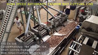 Automatic Cashew Nut Cutting Machine (HIGH SPEED HIGH CAPACITY)