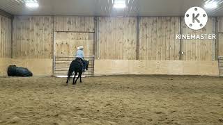 Beau Hip #19 7yo Grade pony gelding selling at the Horsemans Mission select sale. Sneak Peek video.