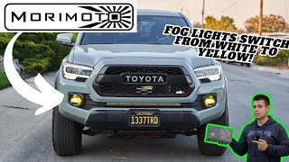 Morimoto XB Evo + Fog Light Tacoma Install and Review! Amazing Tacoma Fog Lights!