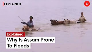 Assam Flood 2023: Why Is Assam Prone to Floods? | Explainer