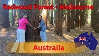 Australiaவில் சிவப்புமர காடுகள்/Redwood Forest by Yogapoornima #travel  #australia #melbourne