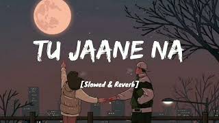 Tu jaane na slowed+reverb full Audio song#Ajab prem ki ghazabkahani#jhankar#ranveer#katrinakaif#Atif