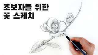초보자를 위한 꽃 스케치 수업 / 꽃 그리는 방법, 식물스케치  Draw flowers with a pencil