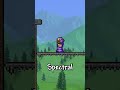 Terraria's Removed Item's Were AWESOME!