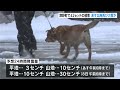 高知県津野町で42センチの積雪観測　7日から8日にかけて再び大雪か　交通にも影響　午前9時までの24時間で11件のスリップ事故