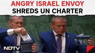 Palestine Latest News | Angry Israel Envoy Shreds UN Charter After Palestine Membership Vote