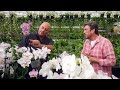 The Garden Gurus - Orchids at Floraplant