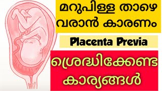 മറുപിള്ള താഴെയാണെങ്കിൽ ഇതൊക്കെ ശ്രെദ്ധിക്കുക | Low Lying Placenta previa Malayalam | Glad Vibes