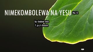 NIMEKOMBOLEWA NA YESU (AUDIO GOSPEL) | WIMBO WA WOKOVU | SHALOM VINE CHOIR