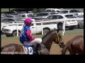 20150315 greyville race 1 won by millrace