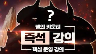 렐 카운터 ??? 하세요 【 즉석 강의 】