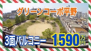 グリンコーポ平野1590万円 3面バルコニー たくみホーム