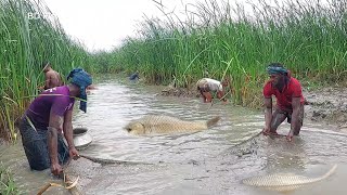 অবিশ্বাস্য হোগলা পাতার খালে এত বড় বড় মাছ 🐟 কোথা আসলো ||Incredible Big Fish Catching in Canal