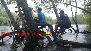 Fishing under the mangroves sit on their roots.