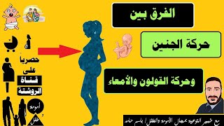 الفرق بين حركة الجنين وحركة الأمعاءوالقولون (لخطأ فني تم حذف الفيديو وإعادة بثه )