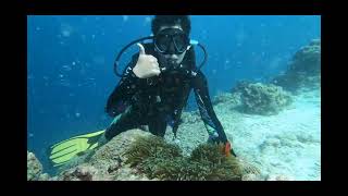 Moalboal Diving♥️ #divingtips #moalboal #scubadiving #viralvideo #trending