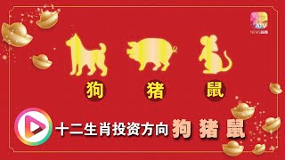 【行运一条龙】12生肖投资方向：狗  猪  鼠