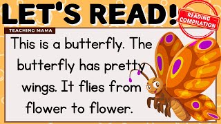 LET'S READ! | READING COMPILATION | PRACTICE READING ENGLISH | 1 HOUR READING | TEACHING MAMA