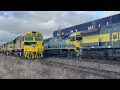 freight u0026 passenger trains crossing. compilation of train crosses in nsw australia.