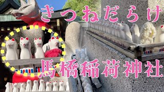 【4K-東京/阿佐ヶ谷】きつねが願いを叶えてくれる？馬橋稲荷神社を散歩【恋愛成就】