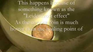 Elementary Productions: The Leidenfrost effect