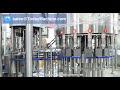 full automatic liquid detergent viscous liquid hair conditioner filling and packing machine