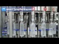 full automatic liquid detergent viscous liquid hair conditioner filling and packing machine