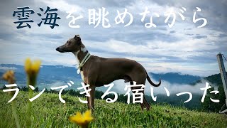 【雲海】長野県　小布施と木島平村の大自然の宿　　愛犬が飛ぶように走る🐶♡