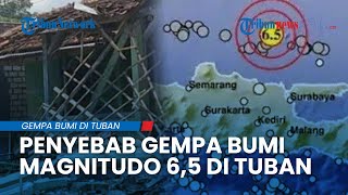 Penyebab Gempa Tuban sampai Magnitudo 6,5, Getaran Terasa sampai Jawa Barat & Kalimantan