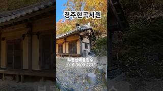 경북부동산 포항부동산 경주부동산 영천부동산 팔릴때까지 유튜브 무료광고 010 3609 2735 언제벌써 윤정아 #착한부동산tv