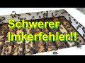 Schwerer Imkerfehler!!