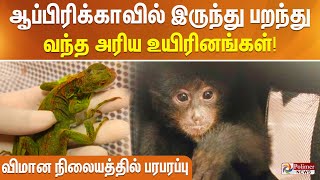 ஆப்பிரிக்காவில் இருந்து பறந்து வந்த அரிய உயிரினங்கள்.. விமான நிலையத்தில் பரபரப்பு..